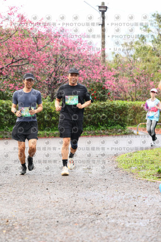 2026左岸竹東櫻花馬拉松Zhudong Sakura Marathon