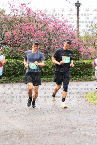 2026左岸竹東櫻花馬拉松Zhudong Sakura Marathon
