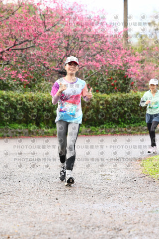 2026左岸竹東櫻花馬拉松Zhudong Sakura Marathon