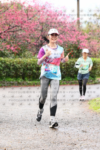 2026左岸竹東櫻花馬拉松Zhudong Sakura Marathon