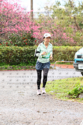 2026左岸竹東櫻花馬拉松Zhudong Sakura Marathon