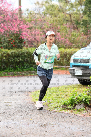 2026左岸竹東櫻花馬拉松Zhudong Sakura Marathon