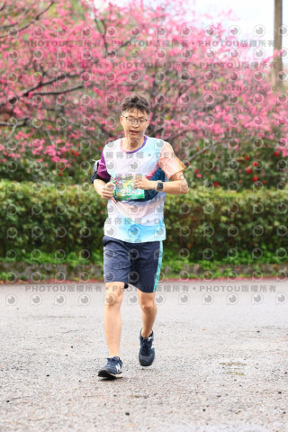 2026左岸竹東櫻花馬拉松Zhudong Sakura Marathon