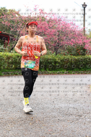 2026左岸竹東櫻花馬拉松Zhudong Sakura Marathon