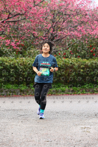 2026左岸竹東櫻花馬拉松Zhudong Sakura Marathon