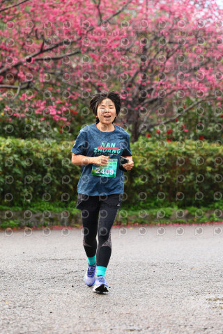 2026左岸竹東櫻花馬拉松Zhudong Sakura Marathon