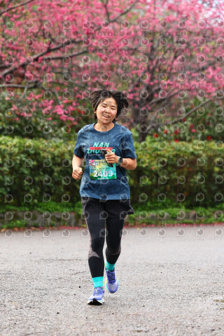 2026左岸竹東櫻花馬拉松Zhudong Sakura Marathon