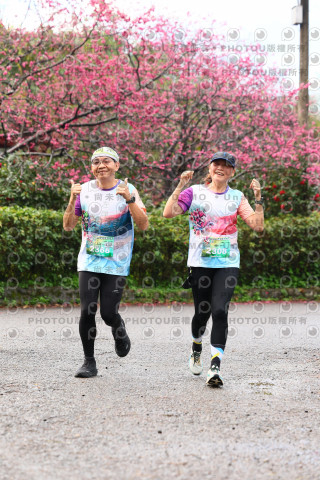 2026左岸竹東櫻花馬拉松Zhudong Sakura Marathon