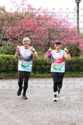 2026左岸竹東櫻花馬拉松Zhudong Sakura Marathon