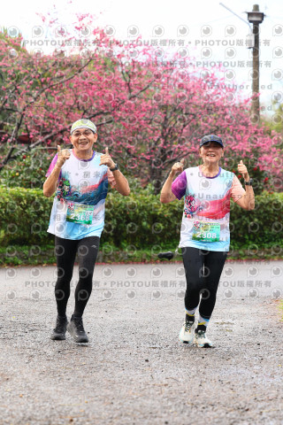 2026左岸竹東櫻花馬拉松Zhudong Sakura Marathon