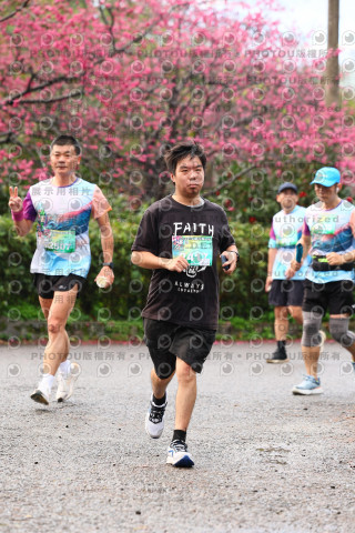 2026左岸竹東櫻花馬拉松Zhudong Sakura Marathon