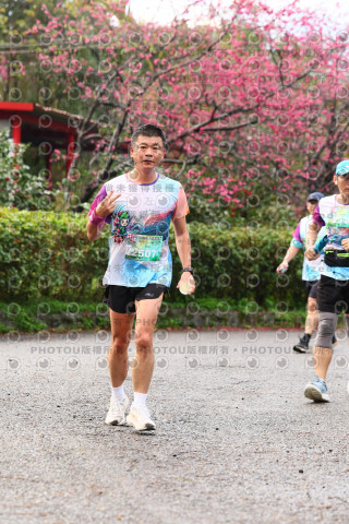 2026左岸竹東櫻花馬拉松Zhudong Sakura Marathon