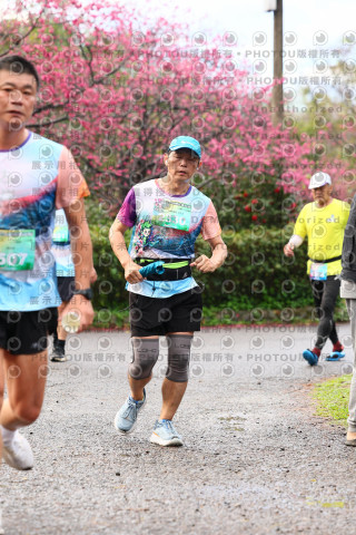 2026左岸竹東櫻花馬拉松Zhudong Sakura Marathon