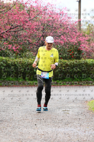 2026左岸竹東櫻花馬拉松Zhudong Sakura Marathon