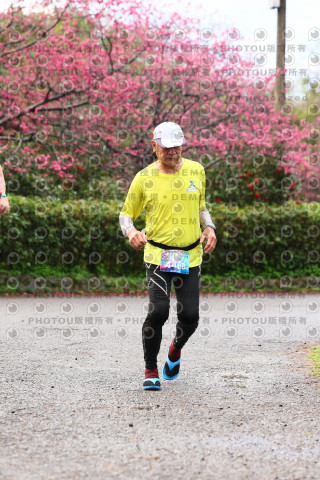 2026左岸竹東櫻花馬拉松Zhudong Sakura Marathon