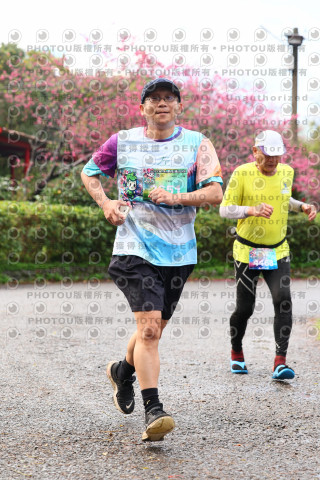2026左岸竹東櫻花馬拉松Zhudong Sakura Marathon