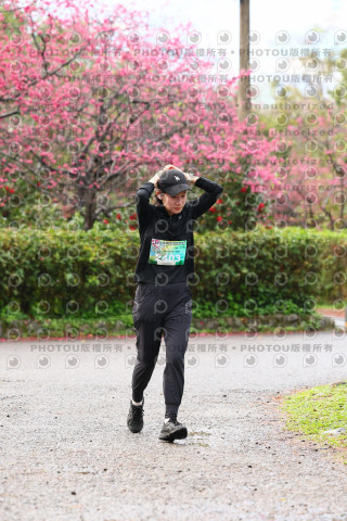 2026左岸竹東櫻花馬拉松Zhudong Sakura Marathon