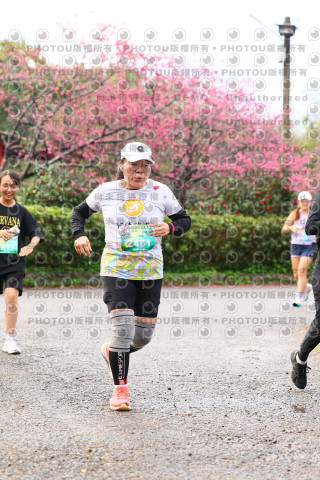 2026左岸竹東櫻花馬拉松Zhudong Sakura Marathon