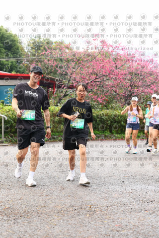2026左岸竹東櫻花馬拉松Zhudong Sakura Marathon