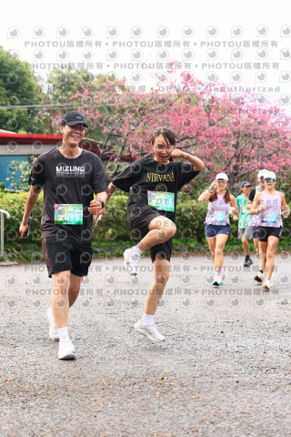 2026左岸竹東櫻花馬拉松Zhudong Sakura Marathon