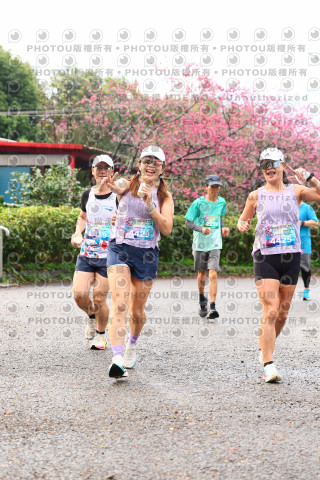 2026左岸竹東櫻花馬拉松Zhudong Sakura Marathon