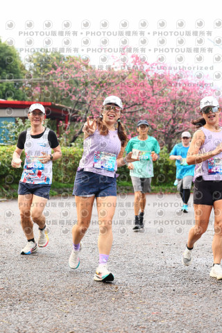 2026左岸竹東櫻花馬拉松Zhudong Sakura Marathon