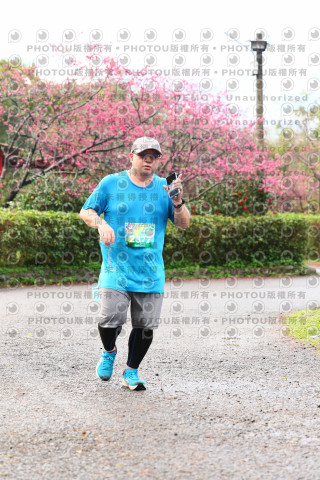 2026左岸竹東櫻花馬拉松Zhudong Sakura Marathon