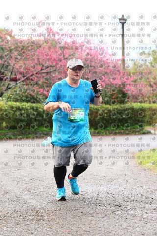 2026左岸竹東櫻花馬拉松Zhudong Sakura Marathon