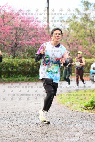 2026左岸竹東櫻花馬拉松Zhudong Sakura Marathon