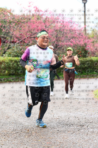 2026左岸竹東櫻花馬拉松Zhudong Sakura Marathon