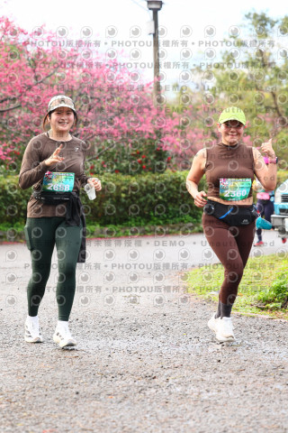 2026左岸竹東櫻花馬拉松Zhudong Sakura Marathon
