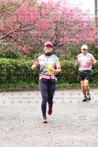 2026左岸竹東櫻花馬拉松Zhudong Sakura Marathon