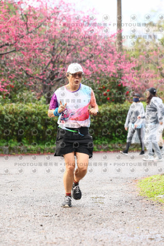 2026左岸竹東櫻花馬拉松Zhudong Sakura Marathon