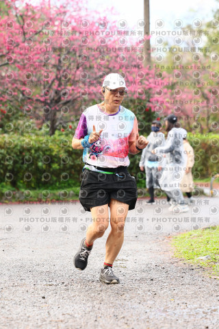 2026左岸竹東櫻花馬拉松Zhudong Sakura Marathon