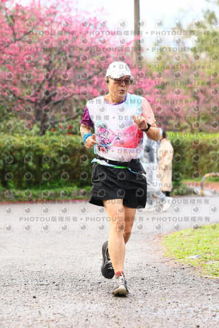 2026左岸竹東櫻花馬拉松Zhudong Sakura Marathon