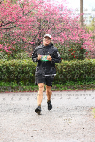 2026左岸竹東櫻花馬拉松Zhudong Sakura Marathon