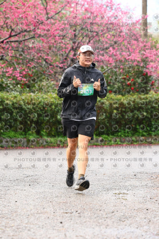 2026左岸竹東櫻花馬拉松Zhudong Sakura Marathon