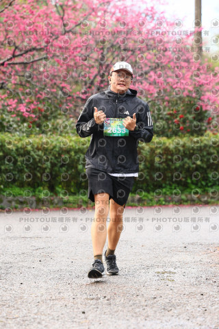 2026左岸竹東櫻花馬拉松Zhudong Sakura Marathon