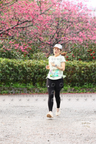 2026左岸竹東櫻花馬拉松Zhudong Sakura Marathon