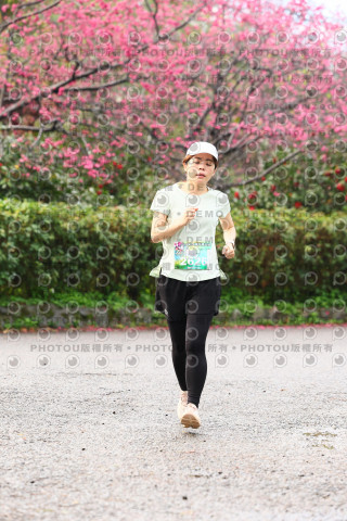 2026左岸竹東櫻花馬拉松Zhudong Sakura Marathon