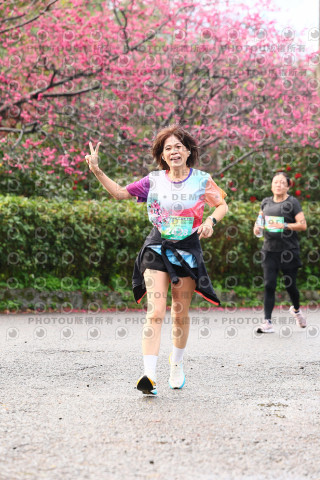 2026左岸竹東櫻花馬拉松Zhudong Sakura Marathon