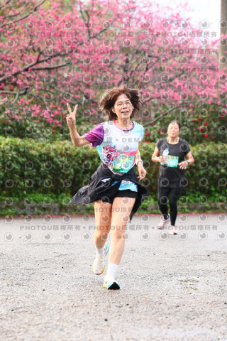 2026左岸竹東櫻花馬拉松Zhudong Sakura Marathon