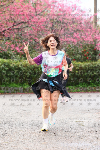 2026左岸竹東櫻花馬拉松Zhudong Sakura Marathon