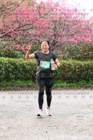 2026左岸竹東櫻花馬拉松Zhudong Sakura Marathon