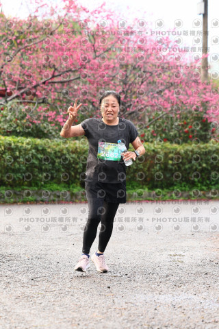 2026左岸竹東櫻花馬拉松Zhudong Sakura Marathon