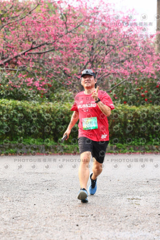 2026左岸竹東櫻花馬拉松Zhudong Sakura Marathon