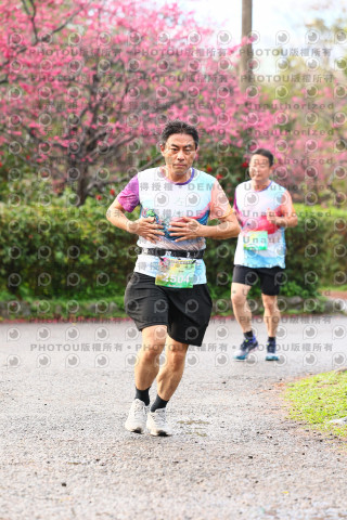 2026左岸竹東櫻花馬拉松Zhudong Sakura Marathon