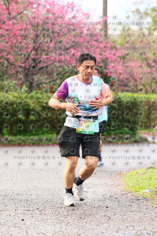 2026左岸竹東櫻花馬拉松Zhudong Sakura Marathon