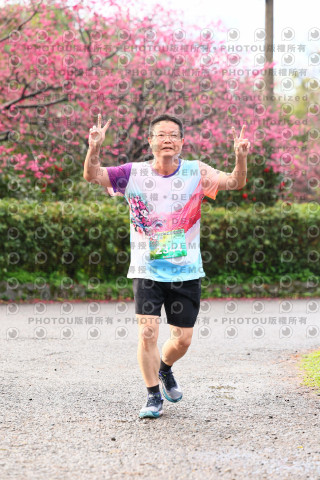 2026左岸竹東櫻花馬拉松Zhudong Sakura Marathon