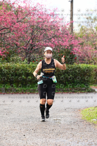 2026左岸竹東櫻花馬拉松Zhudong Sakura Marathon